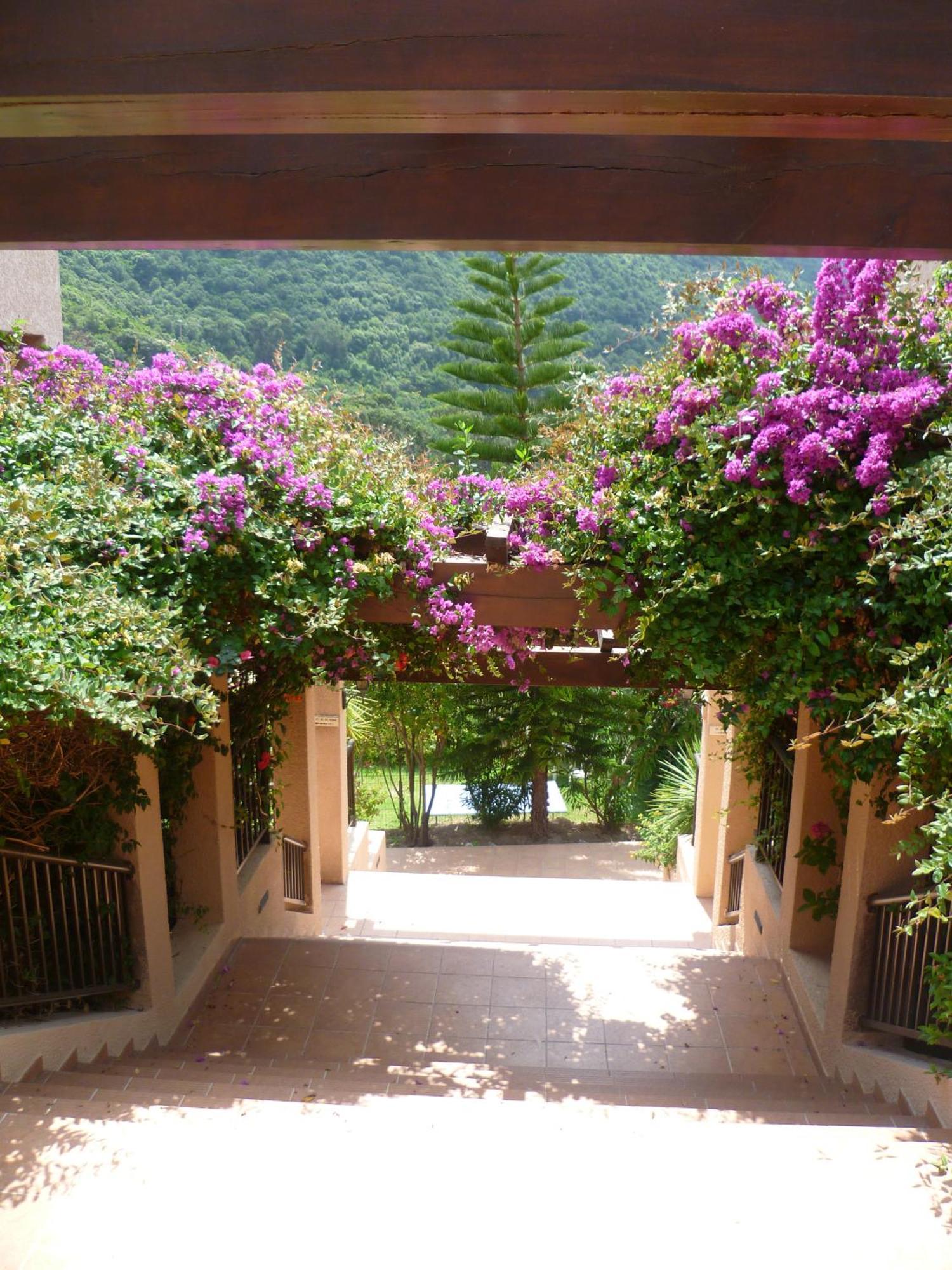 Hotel Et Résidence Cala Di Sole